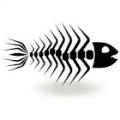 MrFishBone