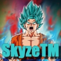 SkyzeTM