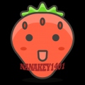 Nanakey1401