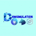DHMSIMULATION