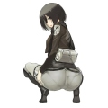 R6Mikasa