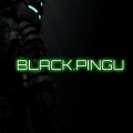 BlackPingu
