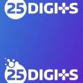 25digits