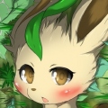 TheClasher Leafeon