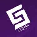 CSNinja