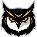aceowl