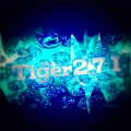 Tiger271