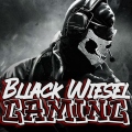BllackWieselGaming