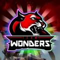TeamWonders