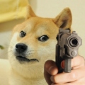 DogeCarmin