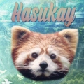 Hasukay