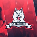 srhachiko