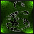 Scorpion1693