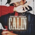 CaliNN2212