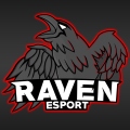 Raven eSport