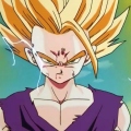 gohan