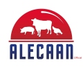 Alecaan