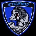 ETCineQ