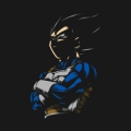 VKG_Vegeta
