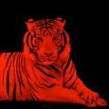 TheRedTiger