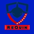 TeamReQuiN