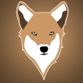 Coyote