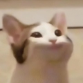 Carl