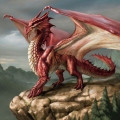 RedDragon2302