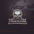 TEAM PLAYER