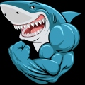 NikSharkQc