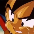 SonGokufan96