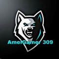 AmelGamer 309