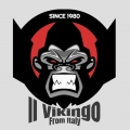 IlVikingo80