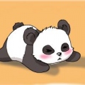 Panda Koun