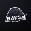 SoulRaven Gaming