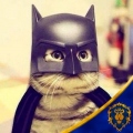 Magic Catman
