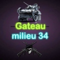 Gateau Milieu 34