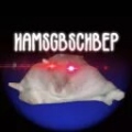 hamsg