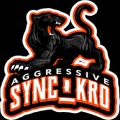 Sync_Kro