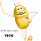 vico