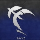 Sayyz
