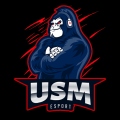 USM eSport