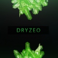 Dryzeo