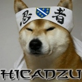HICADZU