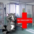drracoontv