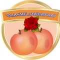 PeachFlowerFabi