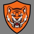Minitiger47