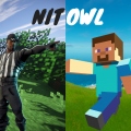 nitowl