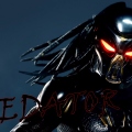 predator0082