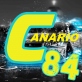 canario84